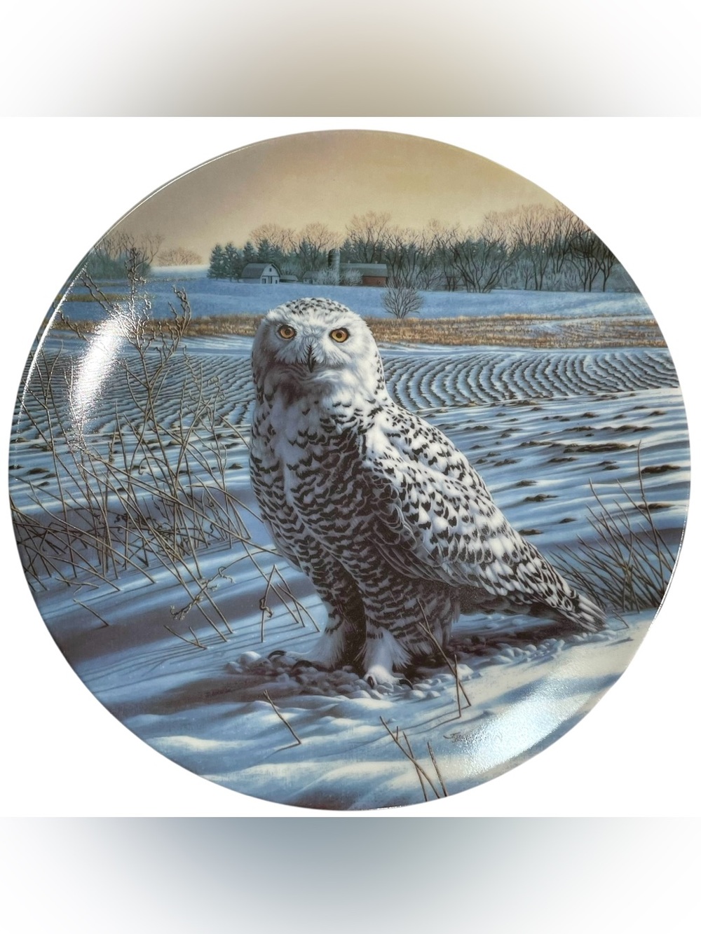 Vintage 1980s Knowles Plate "The Snowy Owl" by Jim Beaudoin - Stately Owls
